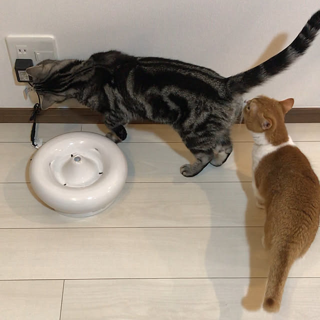 KotarouKunさんの実例写真