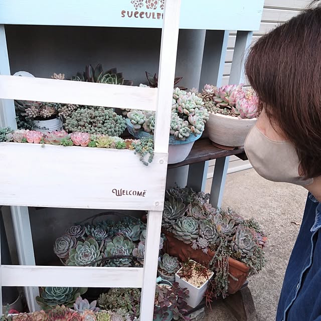 mamaさんの実例写真
