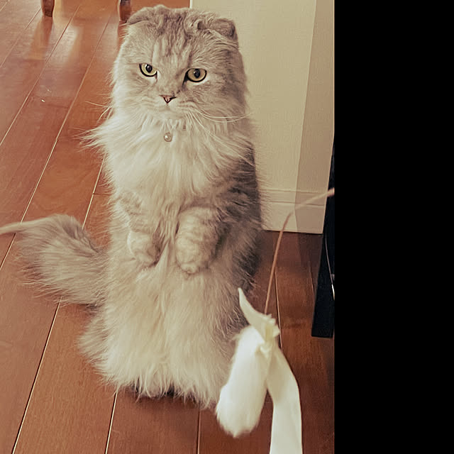 hirominさんの実例写真