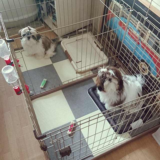Reiさんの実例写真