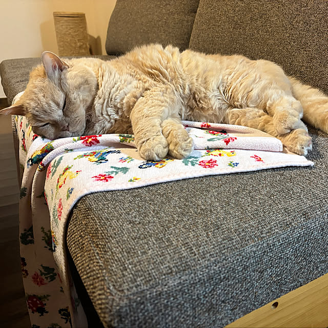 naokoさんの部屋