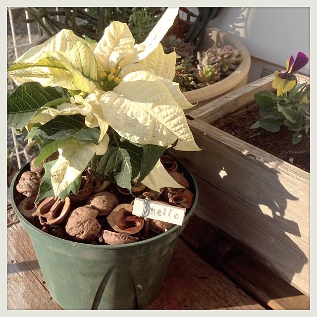 Nanaさんの実例写真