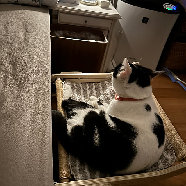 santar222さんの実例写真