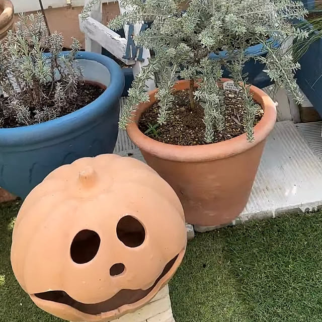 Megumiさんの部屋