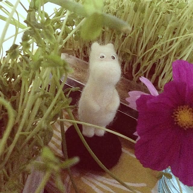 anriさんの実例写真