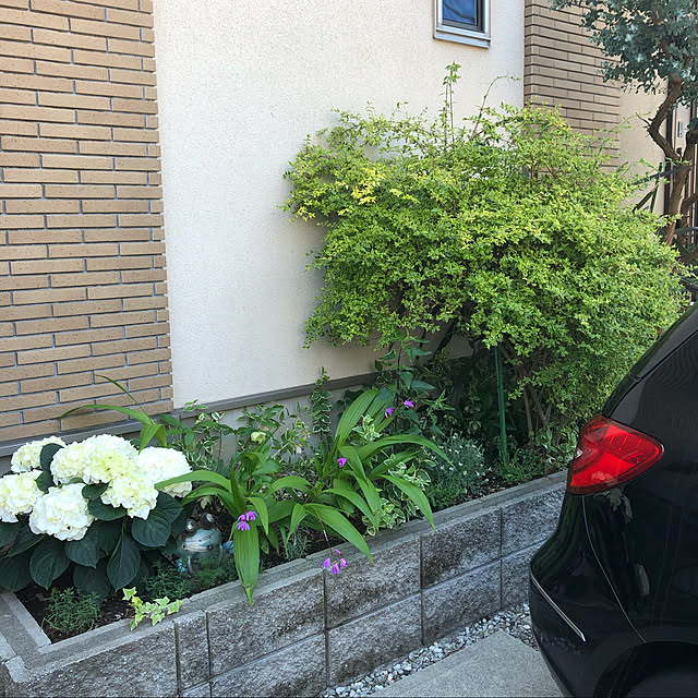 gappeさんの実例写真