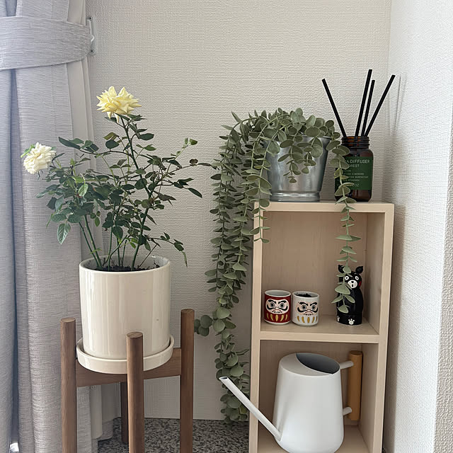 Hachiさんの部屋