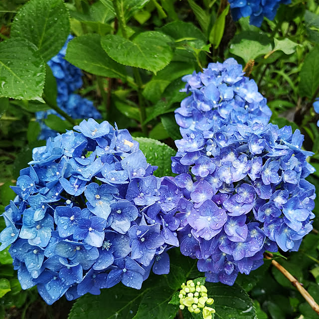 ku-garnet18さんの実例写真