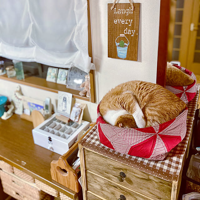 cocomaroさんの実例写真