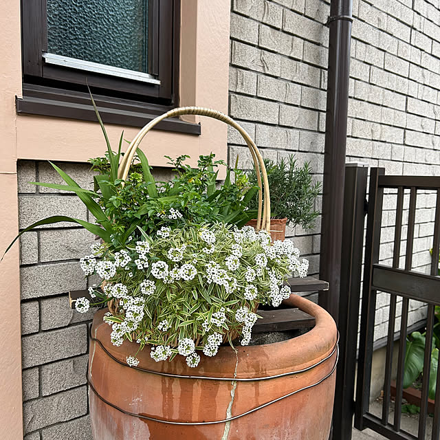 botanさんの部屋