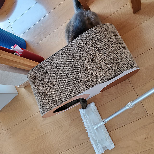 makoさんの実例写真