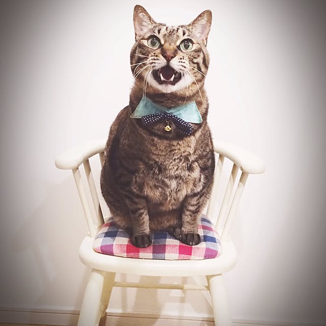 lovecatさんの実例写真
