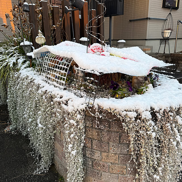 yumirilさんの部屋