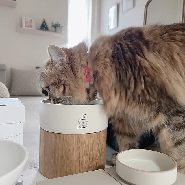 miyu39さんの部屋