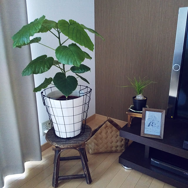 mu.hさんの実例写真