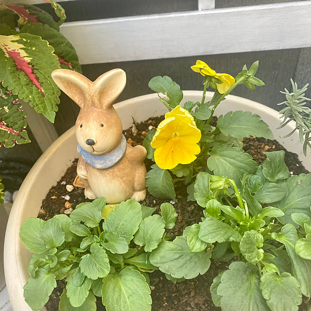 YuuKoさんの部屋