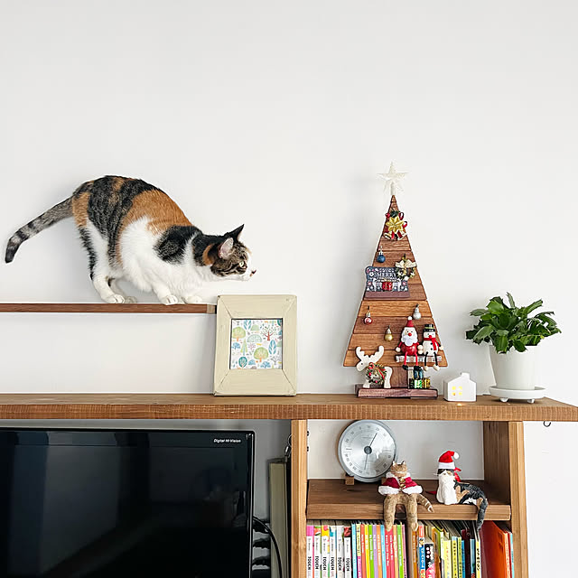 Maruさんの実例写真