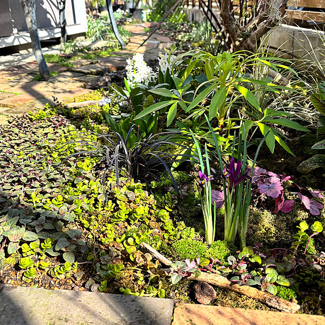 kyoko1124koさんの部屋