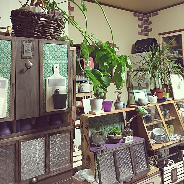 Norikoさんの実例写真