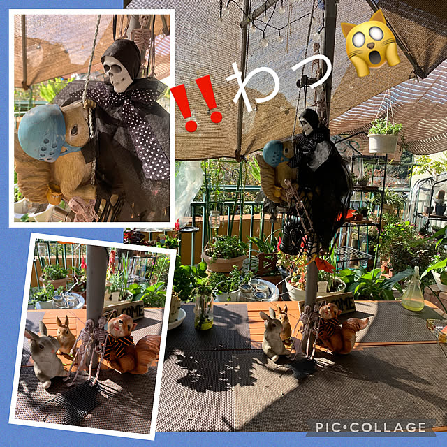 Aqettyさんの実例写真