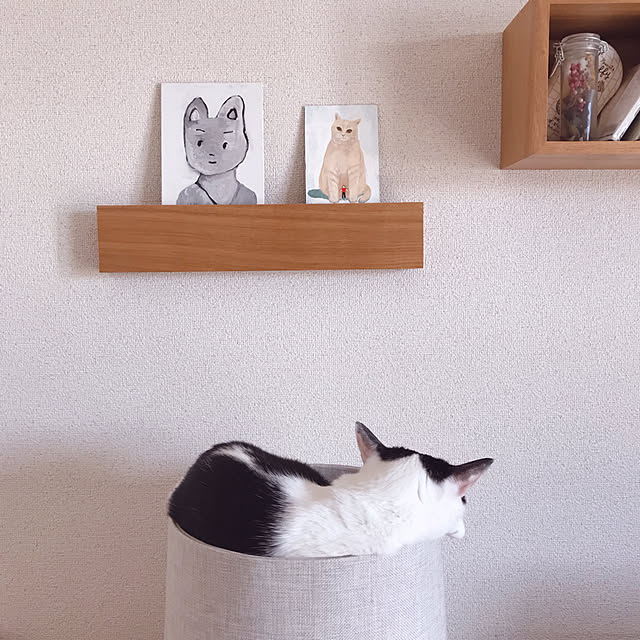 nicoさんの実例写真