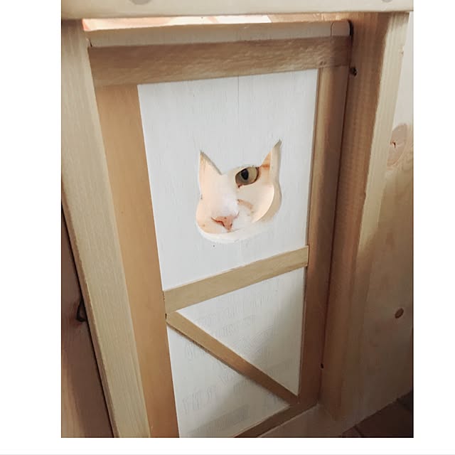 mintcatさんの実例写真