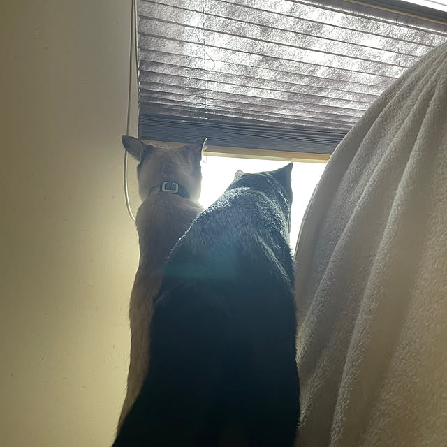 3ho5さんの部屋