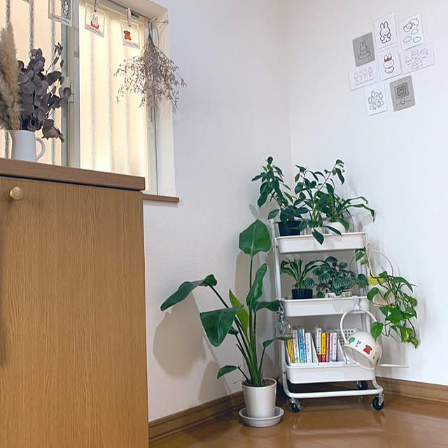 muimuininさんの部屋