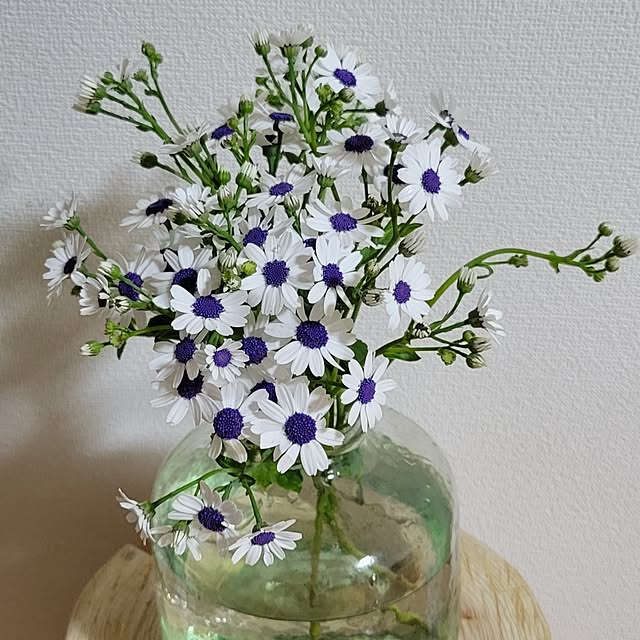 akiak.3さんの実例写真