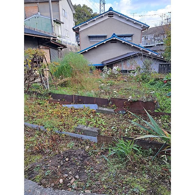 waniwaniさんの部屋