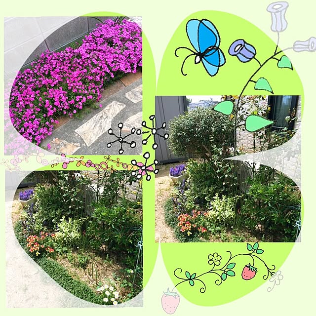 poponさんの実例写真