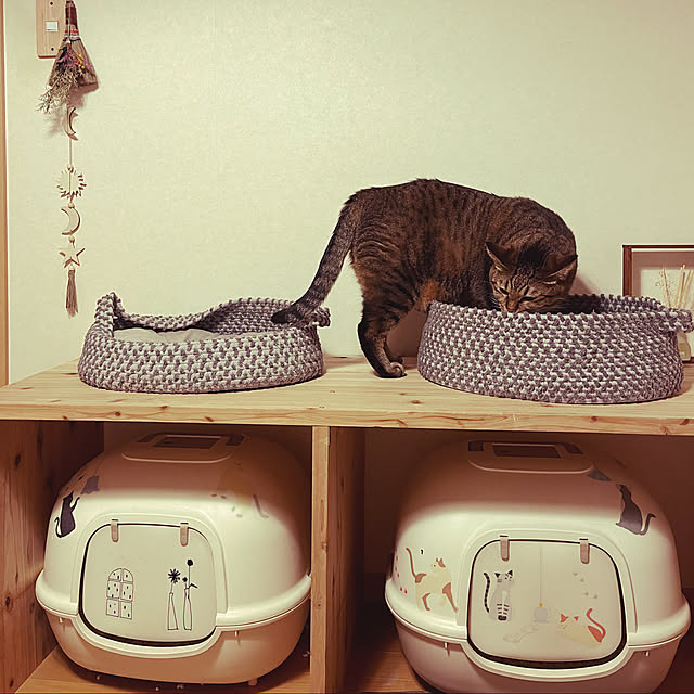 cha-ruさんの実例写真