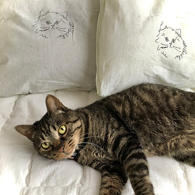 ayataroさんの実例写真