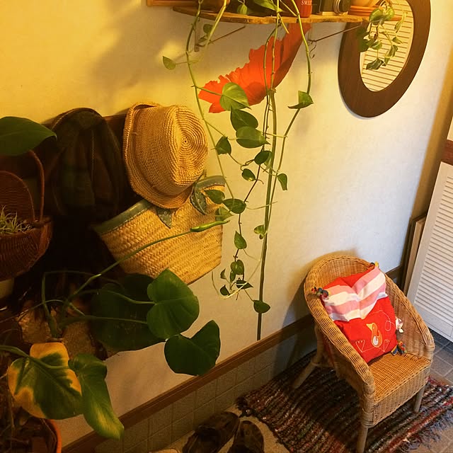 Aikoさんの実例写真