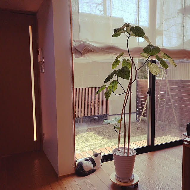 sakuraさんの実例写真