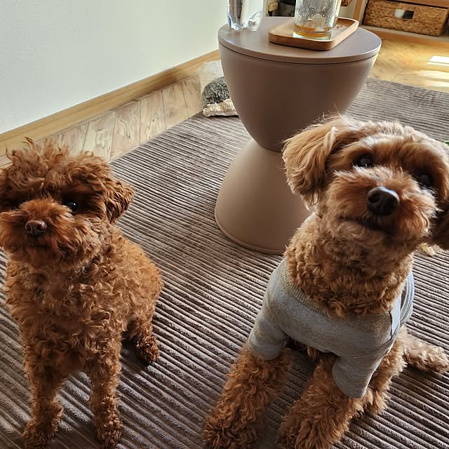 yumitanさんの部屋