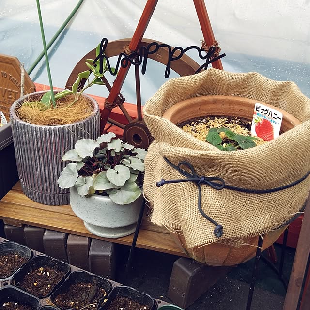 MIPORINNさんの実例写真