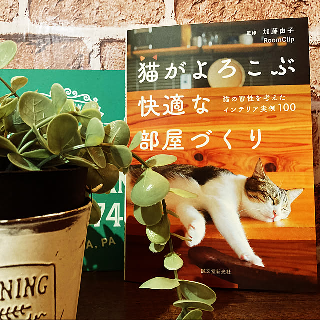 matoさんの実例写真