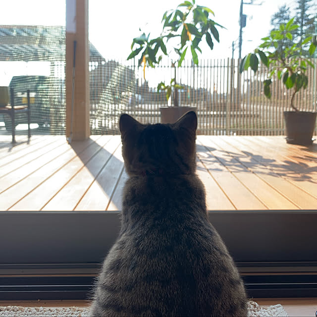 hanaさんの実例写真