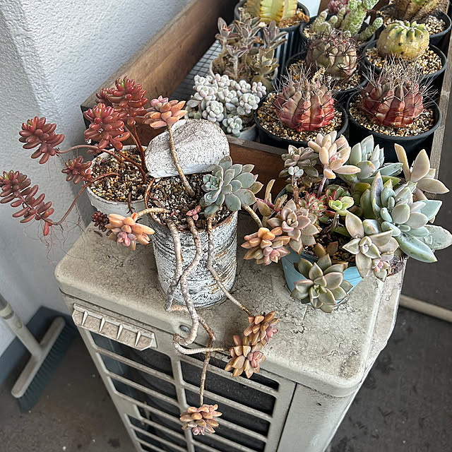 atsukoさんの実例写真