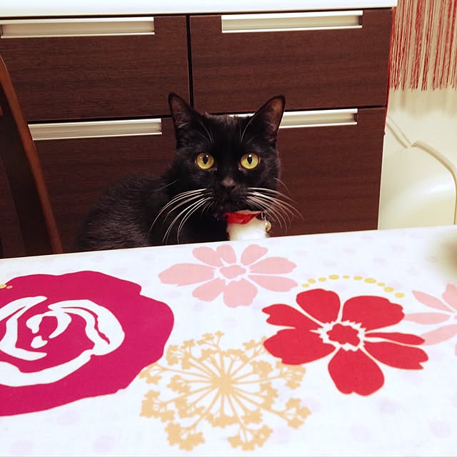 Hecacoさんの実例写真