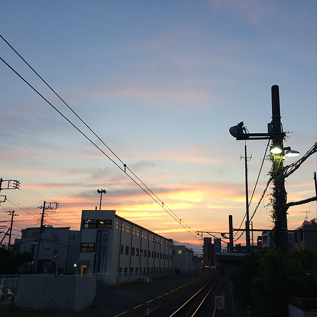 実例写真