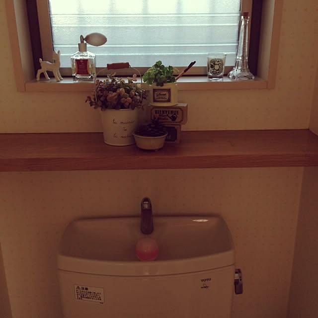 SterNさんの実例写真