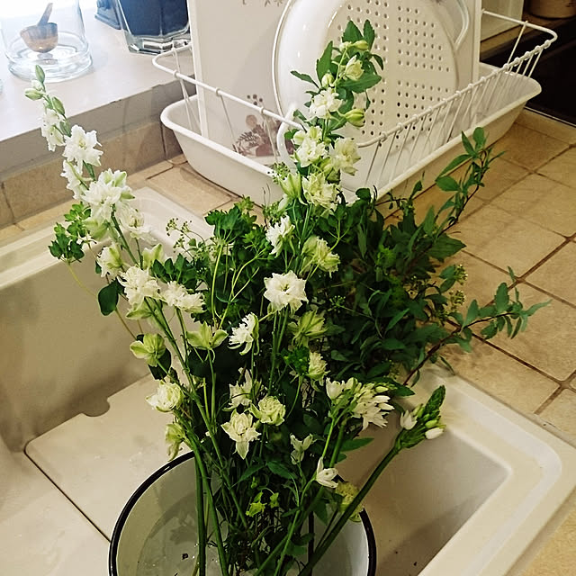 kanaさんの実例写真