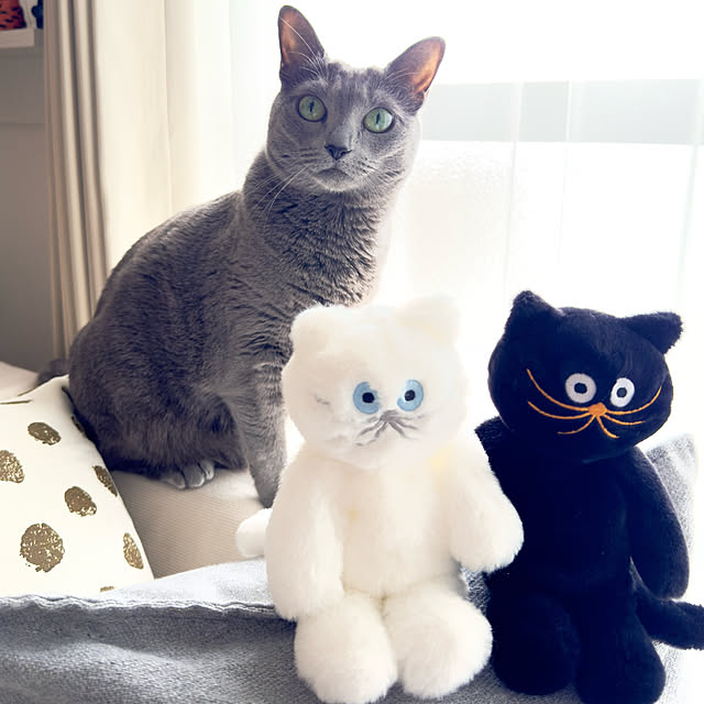 snoopyさんの実例写真