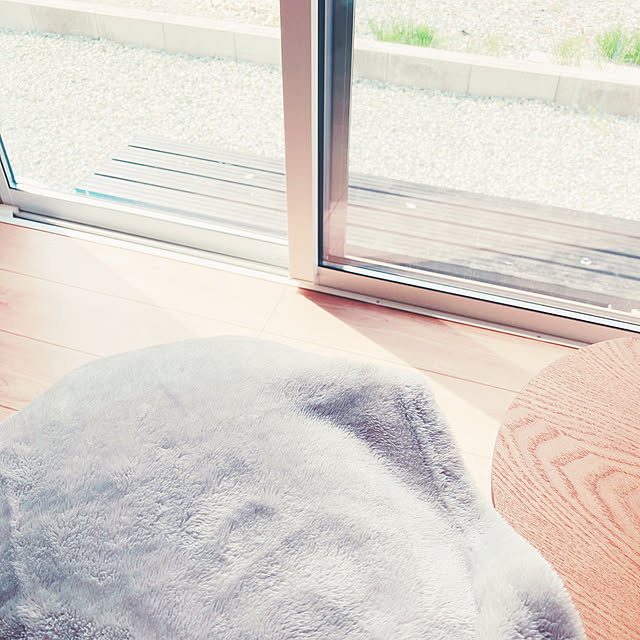 yukicisasamiさんの部屋