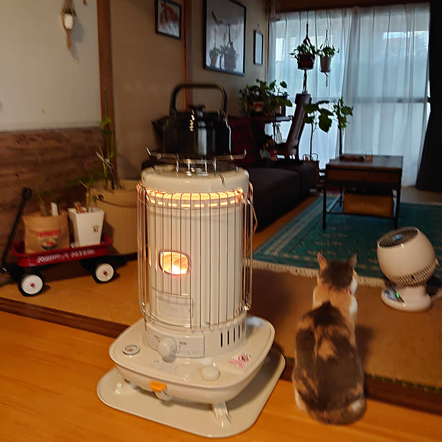fukuさんの実例写真