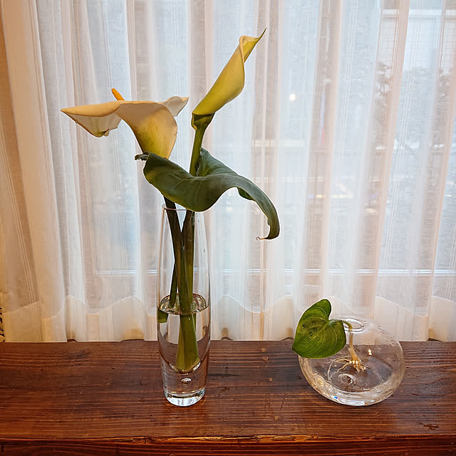 botanさんの実例写真