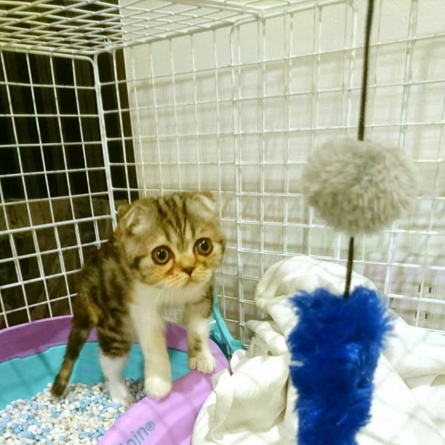 takiko0407さんの実例写真
