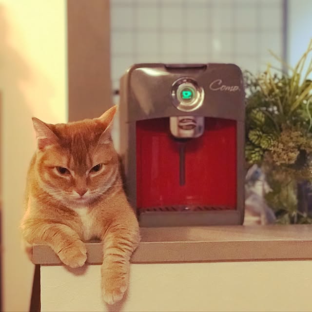 amo69xxさんの実例写真